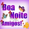 Boa Noite Amigos!