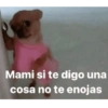 Mami si te digo una cosa no te enojas