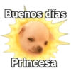 Buenos días Princesa