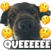 PERRITO CUTE 5