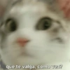 que te valga, como vez?
