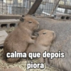 calma que depois piora