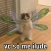 EU VOU SURTAR 7