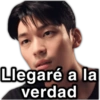 Llegaré a la verdad