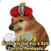 Perrito Cheems 5