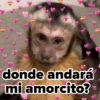 ❤️ Changuitos enamorados 💘 13