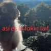 así estokin lait.