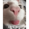 Michis Caóticos🐱 6