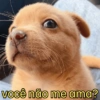 Eu amo você😍❤️ 10