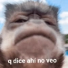 MEMES XD  8
