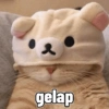 Kucing imlek 15