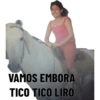Burro 11
