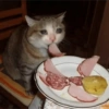 Gatitos tristes 27