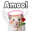 Amoo!
