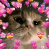 💞💖 AMOR 8 💖💞 11
