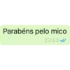 Parabéns pelo mico 23:53 ✔
