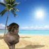 Monyet monkey 11