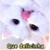 ➳ gato ⊱😽⊱╮
bit.ly/angels-69 22