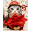 Kucing imlek 11