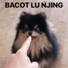 BTS Meme indonesia 29