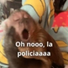 Memes 41 17