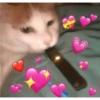 Gatinhos apaixonados fofos 7
