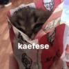 kaefese