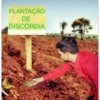 PLANTAÇÃO DE DISCORDIA