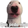 @baewhorx Que pedo mijo