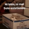 Ni bien, ni mal Solo existiendo papito