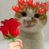 💖💞Love Reactions 4💞💖 14