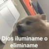 Dios iluminame o eliminame
