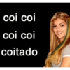 coi coi coi coi coitado