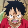 Luffy 18
