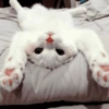 ➳ gato ⊱😽⊱╮
bit.ly/angels-69 21