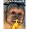 Monkey meme 🐒⭐ 15