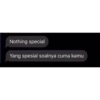 Nothing special Yang spesial soalnya cuma kamu