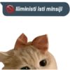 Iliministi isti minsiji 🚫 21