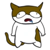 Cats 6