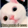 ➳ gato ⊱😽⊱╮
bit.ly/angels-69 17