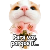 Frases de gatito #2🐱💬 5