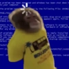 Monyet monkey 12