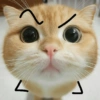 ट