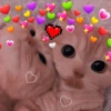 💖💞Love Reactions 4💞💖 24