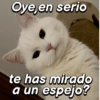Oye,en serio te has mirado a un espejo?