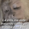 La vida me esta tratando como yo trataba a mi pou