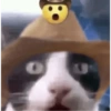 Animales pedorros 11