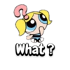 The PowerPuff Girls 9