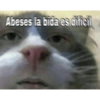 Abeses la bida es dificil