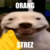 Random jail bgt 5